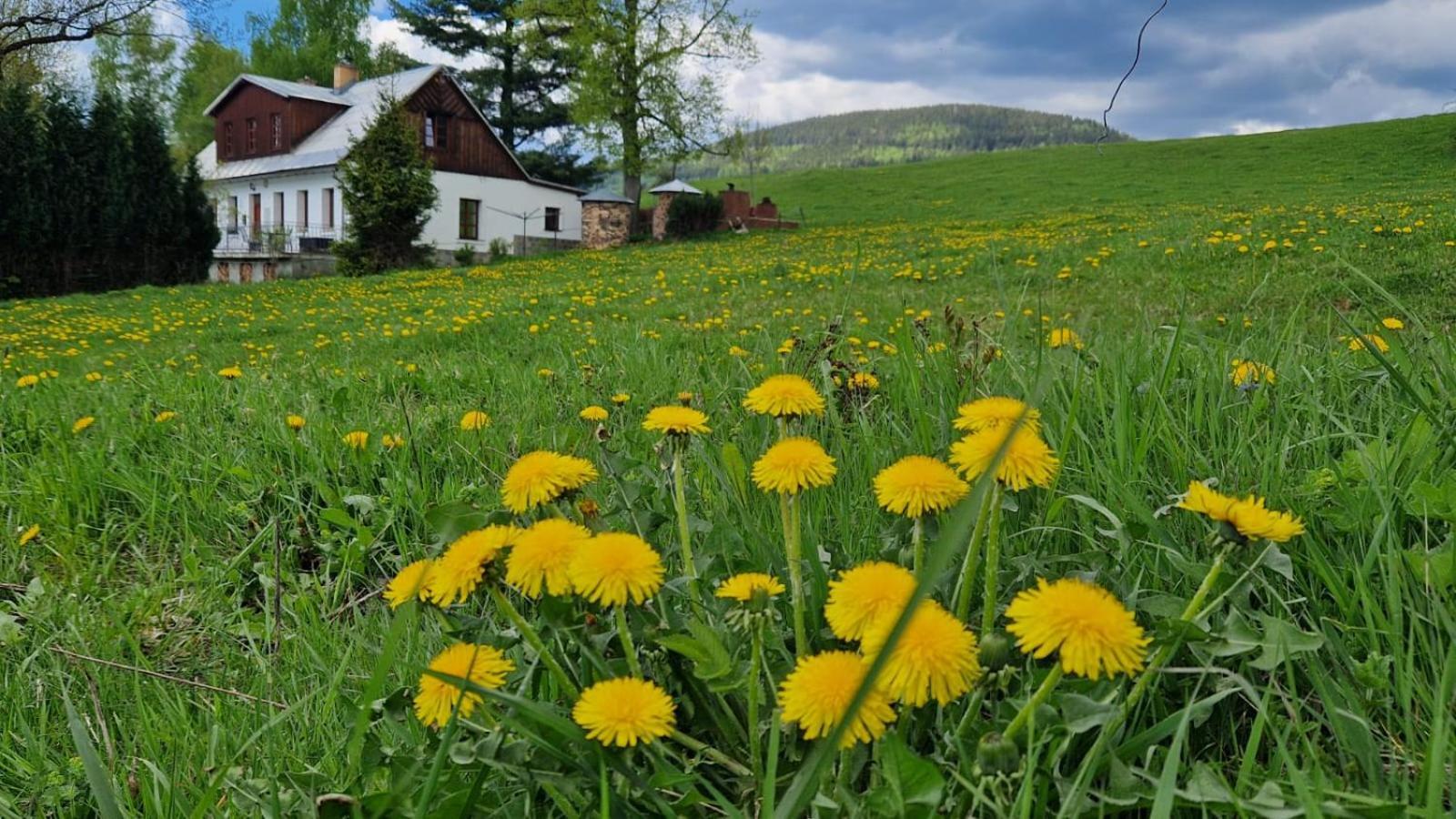 Knezice 25, Chalupa V Krkonosich Vrchlabí Exteriör bild